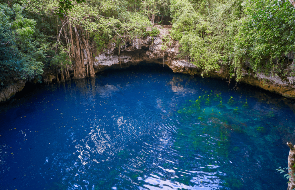 cenote cosas que hacer en riviera maya